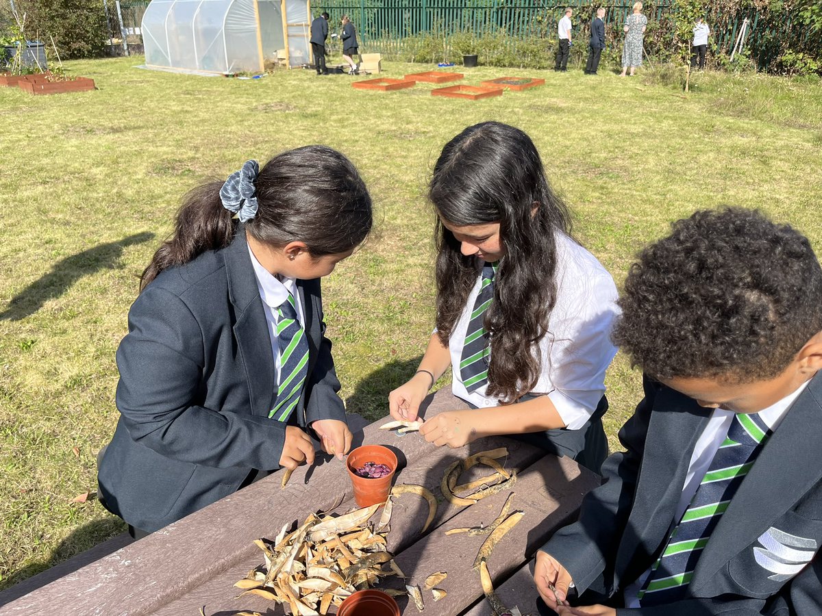 Springwest Blooms tweet media