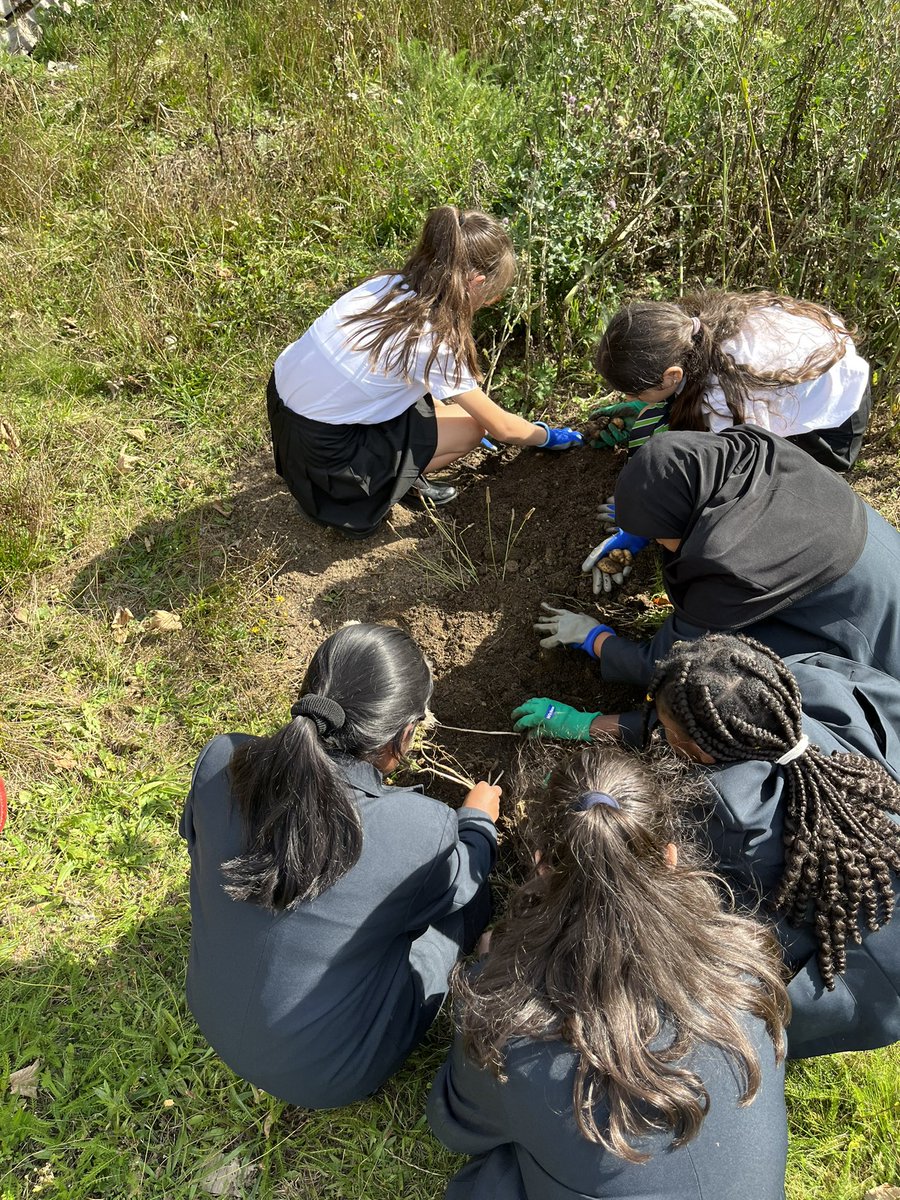 Springwest Blooms tweet media