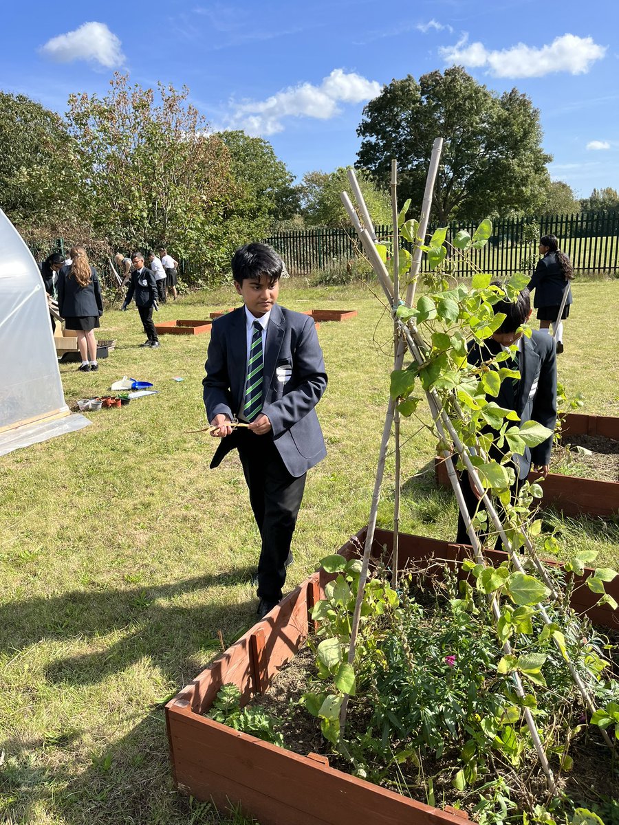 Year 7s out in the Springwest Blooms garden today during their Science lesson <a href="/SpringwestA/">Springwest Academy 💙</a>