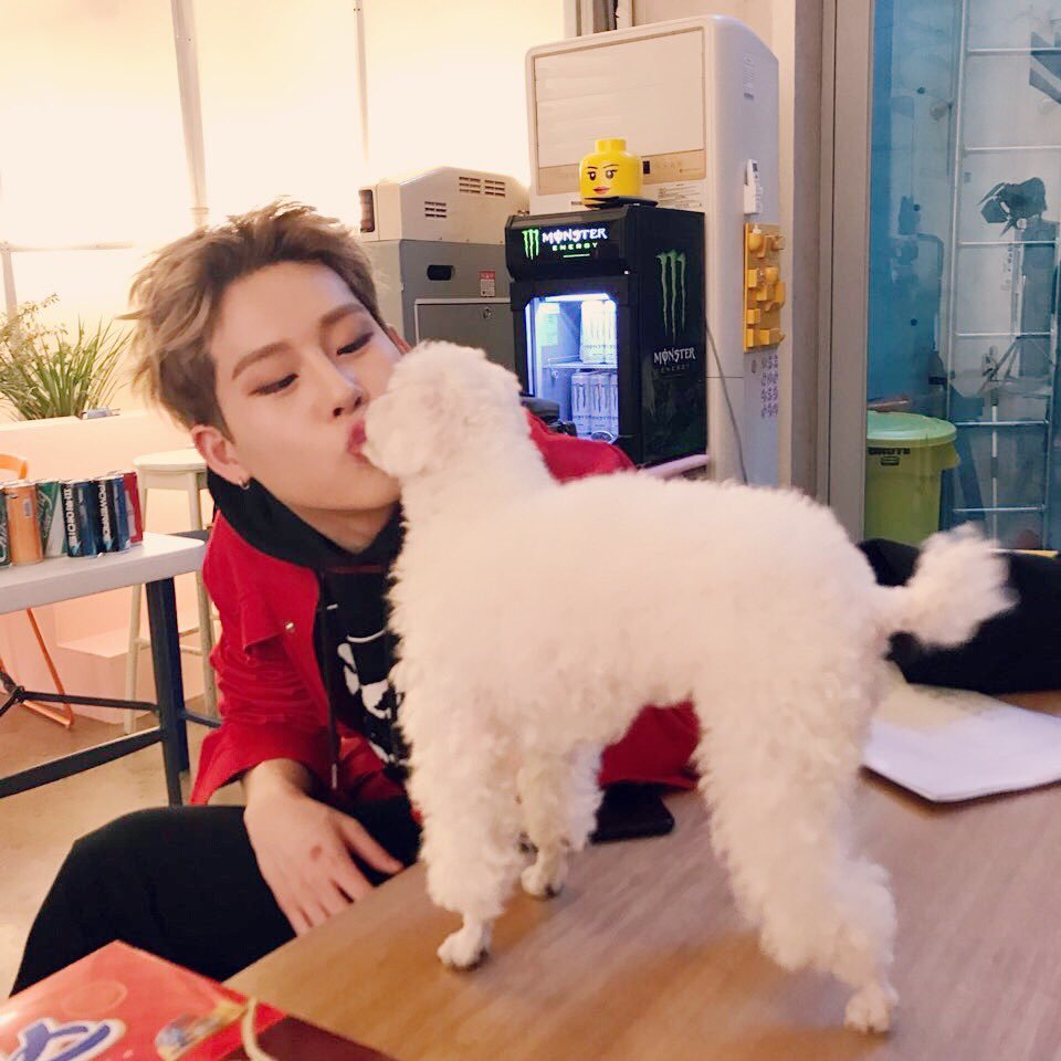 time_to_honey's tweet photo. 180926 ๊ณต์ํธ์ํฐ
'#๋ชฌ์คํ์์ค'์์
๋ฌ์ฝคํ #ํ๋ฆฌ๋ฐ์ด ์์ฆ7
180926 #๋ง์ง๋ง๋ โค
#MX๋นํ์ธ๋ ๐ท๐ธ
#THE_CONNECT
MD ์ดฌ์ํ์ฅ ๋นํ์ธ๋
#์ฃผํ #๋ชฌ์คํ์์ค #JOOHEON #JOOHONEY #MONSTA_X #ใธใฅใใณ https://t.co/s95VXkBEbd