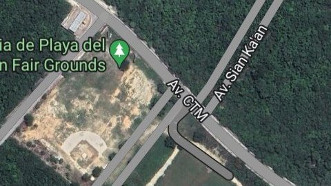 Aquí las carreteras del bienestar. <a href="/lopezobrador_/">Andrés Manuel</a> dice que no se necesitan ingenieros para construir caminos. 

#GuacamayaLeaks
#GuacamayaNews
#AMLO
#Xochitl
#Claudia