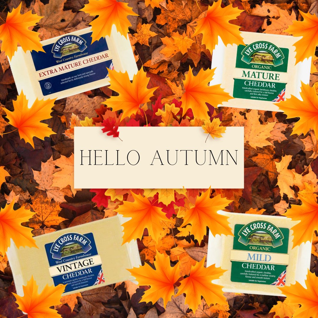 The seasons may be changing, but our award-winning Cheddar still tastes as good as always🍂