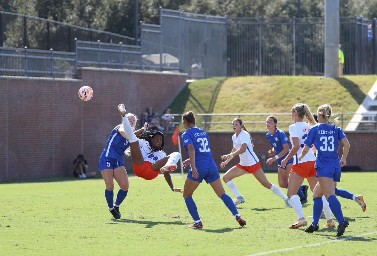 Florida Gators tweet media