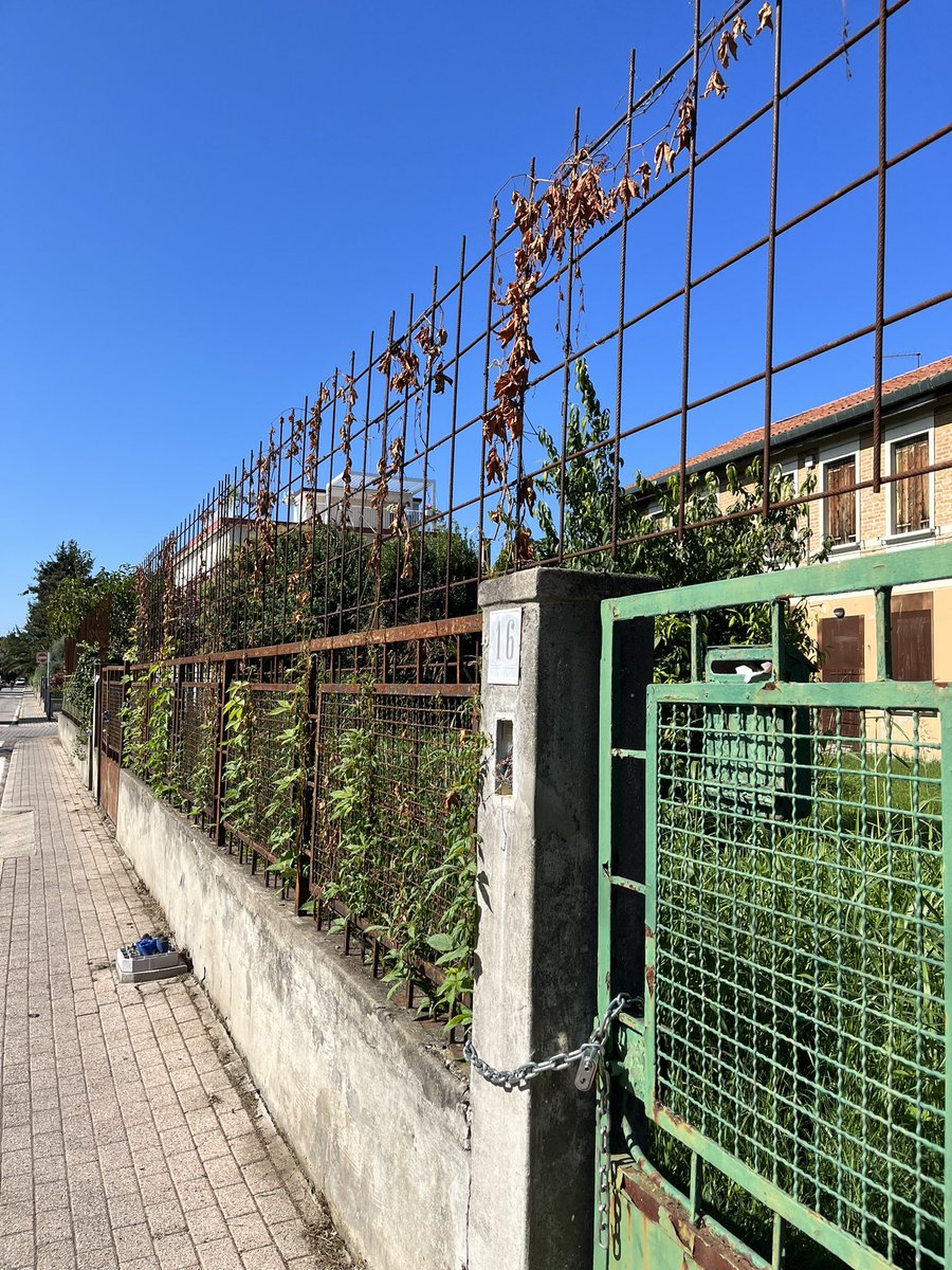 Marco__Bacci's tweet photo. Ecco in anteprima il nuovo centro di #Mestre #Venezia  La risposta al degrado si combatte con il #degrado ecco la ricetta. Vergognoso che il @comunevenezia permetta questo scempio ai danni dei cittadini @nuova_venezia @Corriere @repubblica https://t.co/HkeYlJjqJL