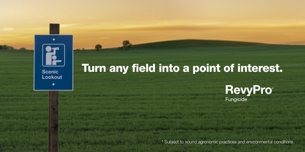 Here’s something that’ll get you revved about your next pulse crop – new #RevyPro fungicide. With its exceptional disease control, it delivers healthier*, better-looking pulse fields that are bound to turn heads. Learn more at agsolutions.ca/revypro. #GetRevvedBASF #WestCdnAg