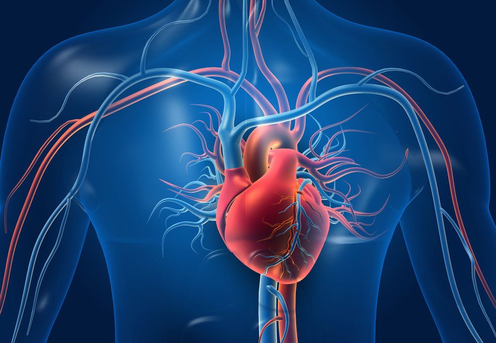 Have you ever heard of stiff heart syndrome? Known clinically as cardiac amyloidosis, this condition mimics other heart health problems and, as a result, is often overlooked and untreated—which could lead to serious and even deadly complications. bit.ly/45PT12m