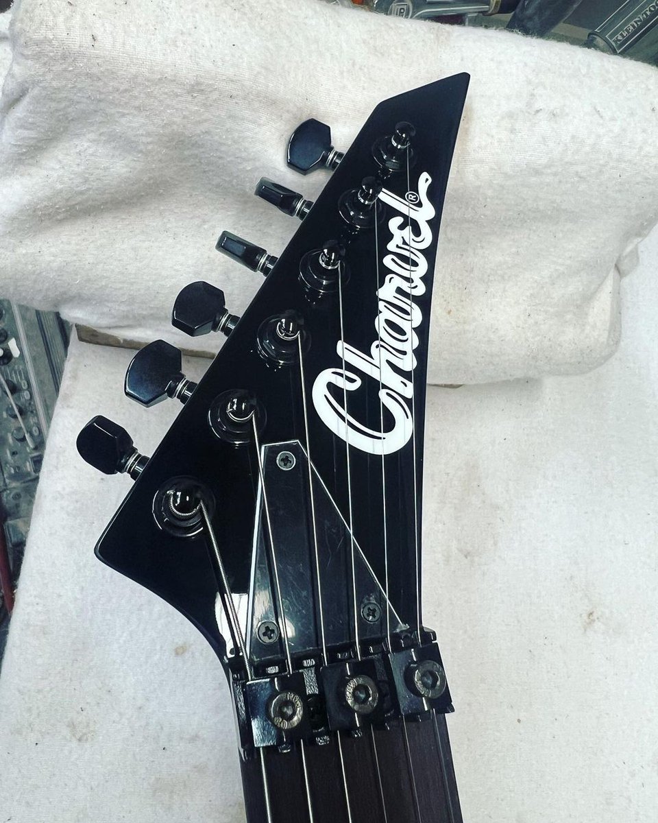 Charvel Guitars tweet media