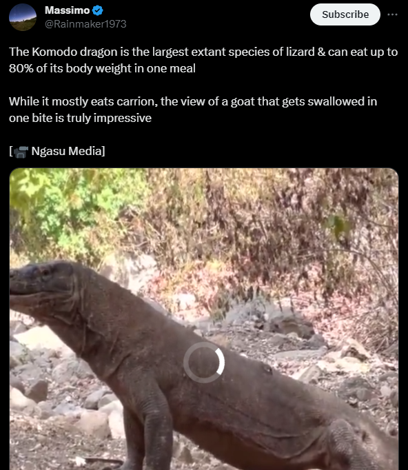 Josvh88's tweet photo. @Rainmaker1973 A lot of video's you post have this loading issue after playing a few seconds. It actually only happens during your video's and those posted by @ fasc1nate. IDK if it's on my side, but thought I'd let you know. https://t.co/KWFjmd45Kv