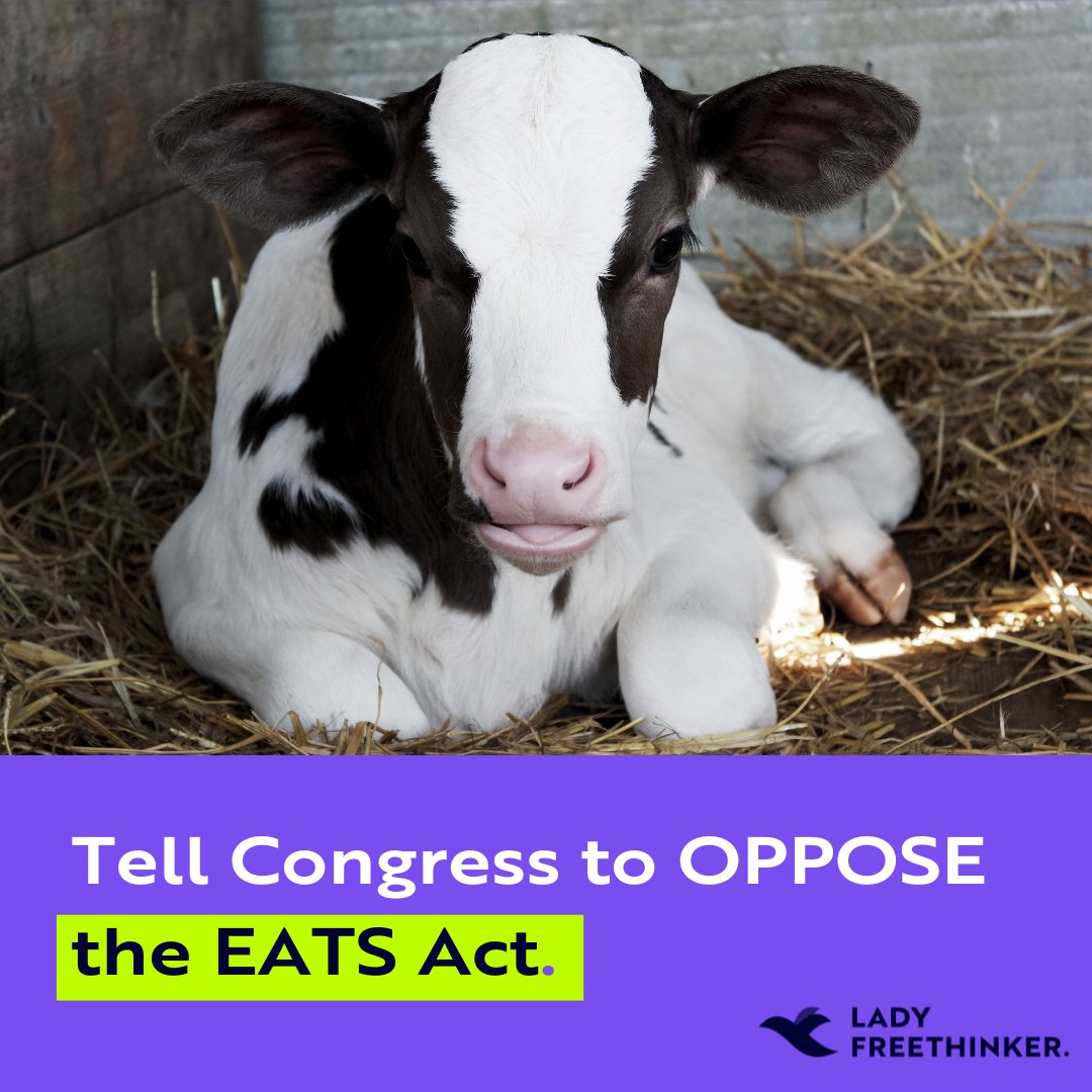 #CA recently made history by banning products from #factoryfarms where animals suffered in spaces so small they couldn’t turn around. The #EATSact could UNDO this win for #animals.

Urge Congress to #OPPOSEtheEATSact ➡️ ladyfreethinker.org/sign-stop-disa…

#farmedanimals #pigs #cows #hens