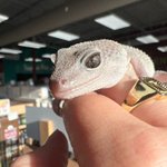 Photo by Petland (@petland)