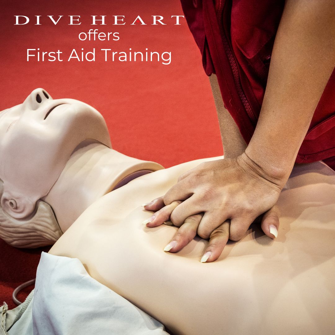 diveheart's tweet photo. Diveheart offers First Aid &amp; CPR training at the Diveheart Outreach Center in Downers Grove, IL! ⛑️ Contact tinamarie.hernandez@diveheart.org 

#cpr #firstaid #firstresponse #workplacesafety #chicagosuburbs #downersgroveillinois https://t.co/EVBNiIwOLV