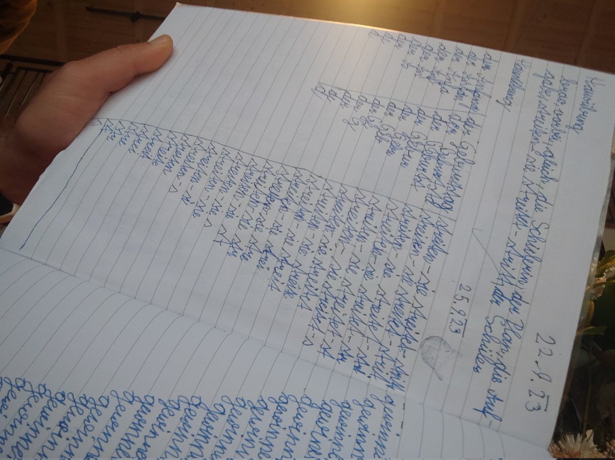 Liebe KollegInnen aus der Primarstufe.warum macht man sowas? #twlz