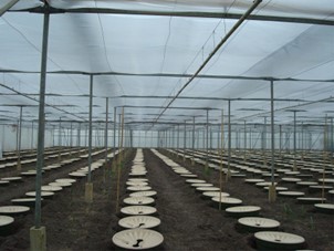 groasis's tweet image. New report shows the fossil fuel and industrial agriculture industries are receiving 20 times more financing from banks than governments are receiving for climate solutions. That is why it is so difficult to get our sustainable #Waterboxx financed. actionaid.org/news/2023/caus…