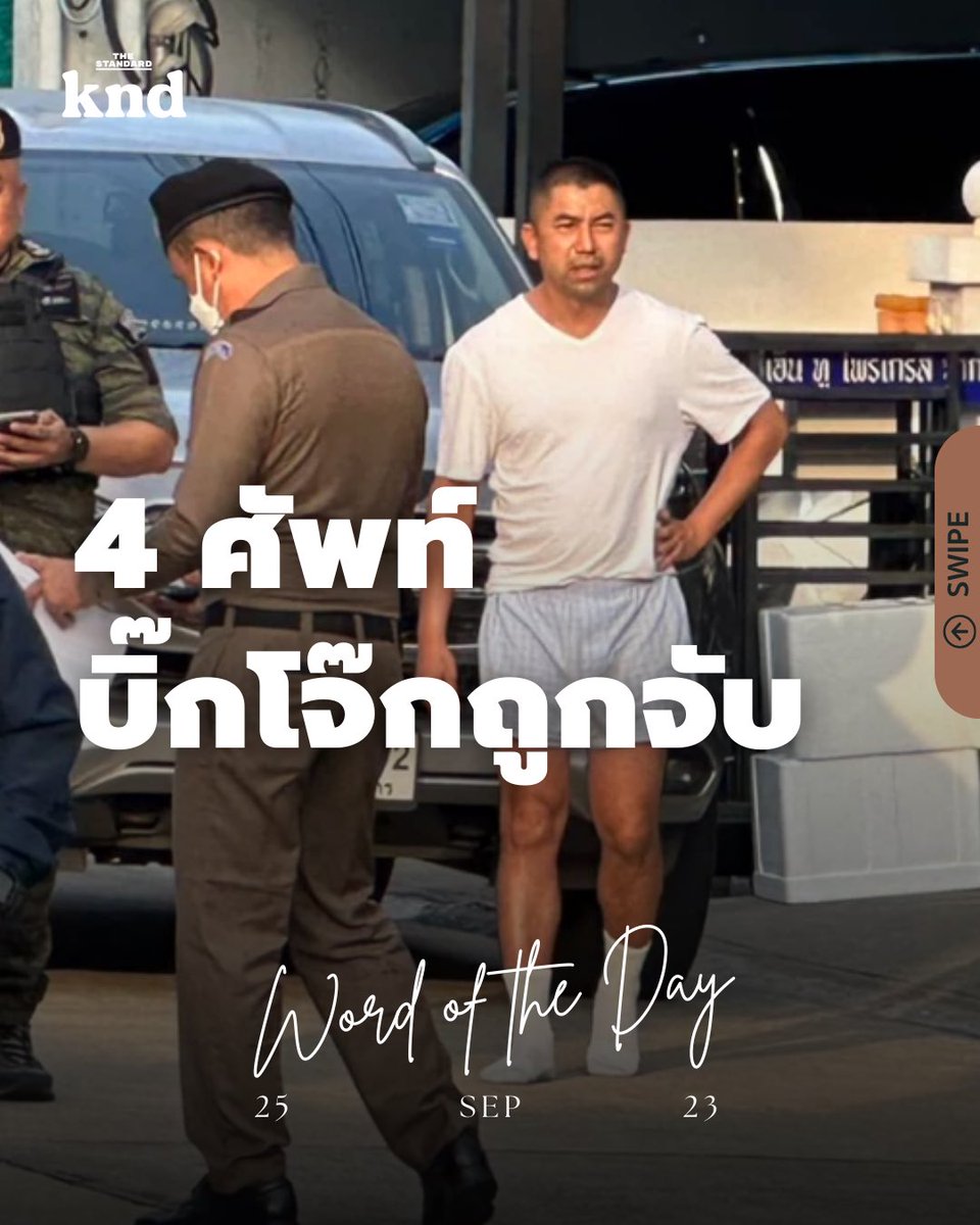 THE STANDARD knd tweet media