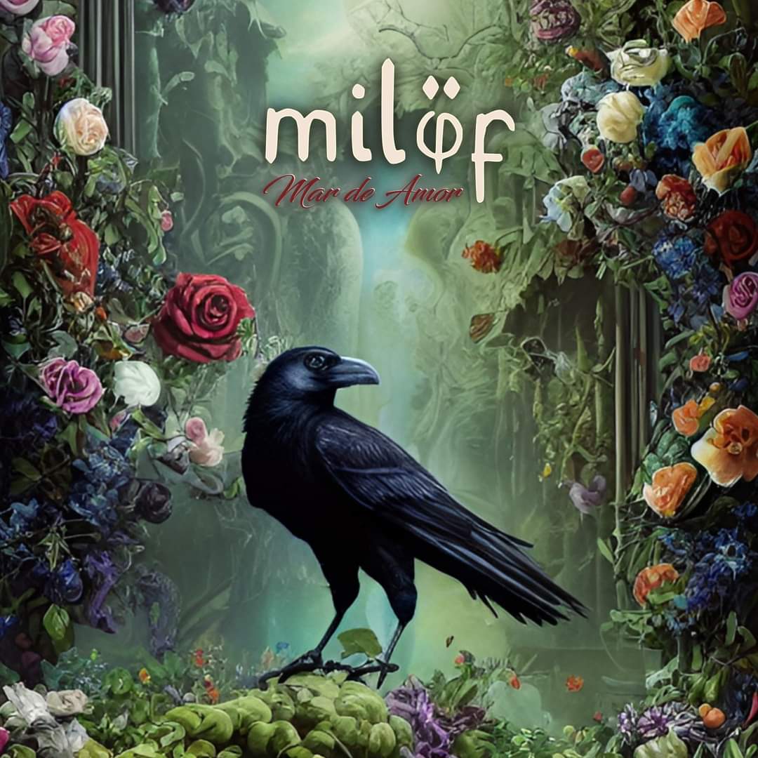 ¡Atención noticia!
Desvelamos portada y título de nuestro primer disco “Mar de Amor”.
Este viernes día 29 de septiembre se activará la pre-venta en nuestra web oficial.
milofmusic.es
#milofmusic #milof #nuevodisco #nuevodiscomilof #MarDeAmor