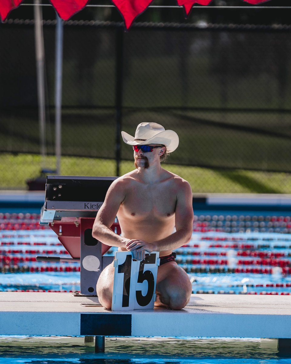 FSU Swimming/Diving tweet media