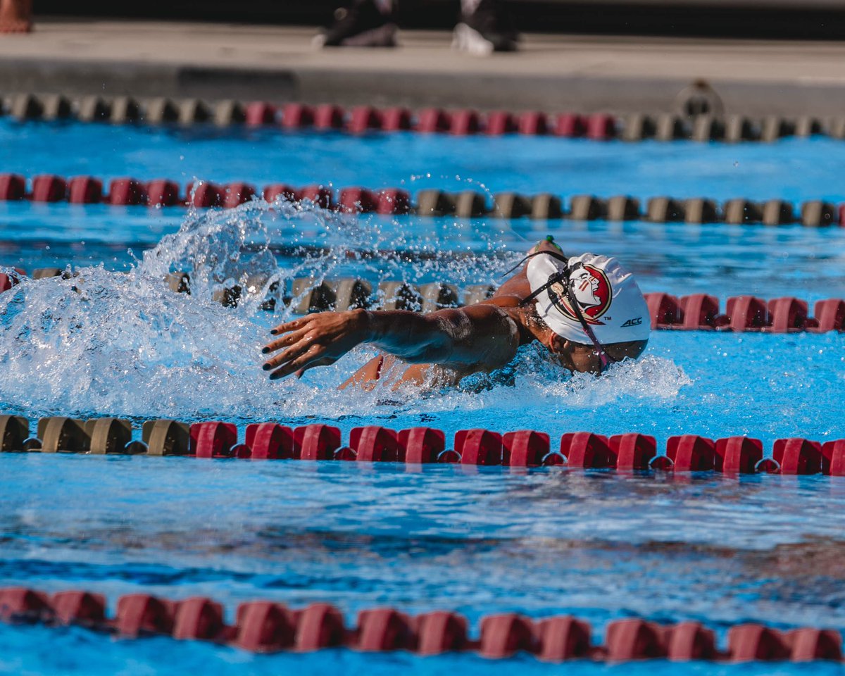 FSU Swimming/Diving tweet media