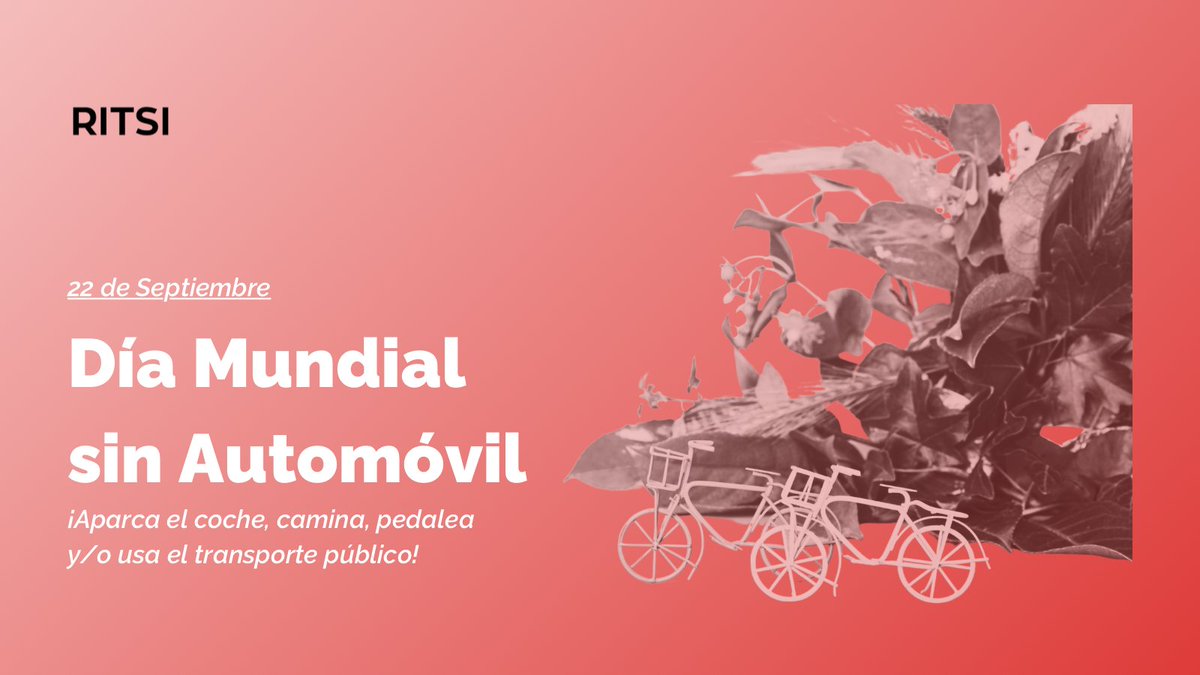 Asociación RITSI tweet media