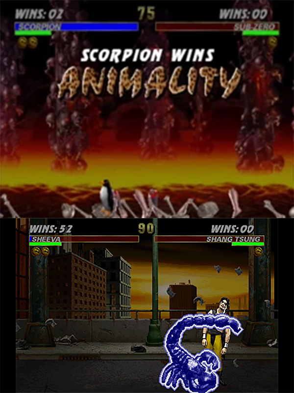 TeamBlue tweet media