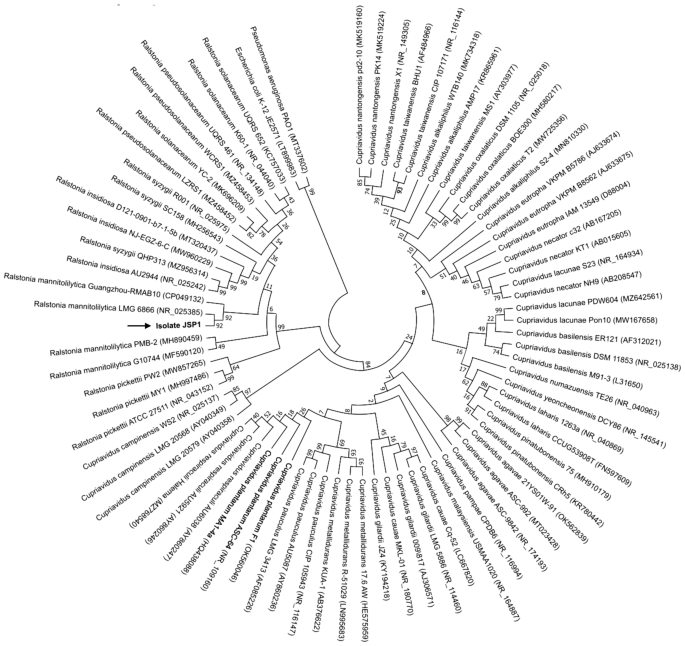 yakzaf's tweet image. Decolorization potential of malachite green by Ralstonia mannitolilytica isolated from Indonesian cassava-based fermented food tapai.
doi.org/10.1007/s00203…
#Ralstonia #Decolorization #malachite
@uphimpactslives
#ArchivesOfMicrobiology
