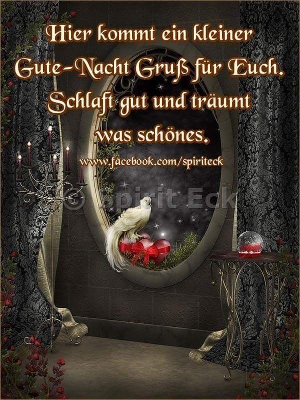Wünsche 🙏 meinen 🌹 🐿️ 🐎 ♥ lieben Twitterfreunden einen 🌺 schönen 🌙 Abend ✨ und 💫 später 🫶 eine angenehme Nacht ✨ 🐱🌛🐾🫶💞🐕