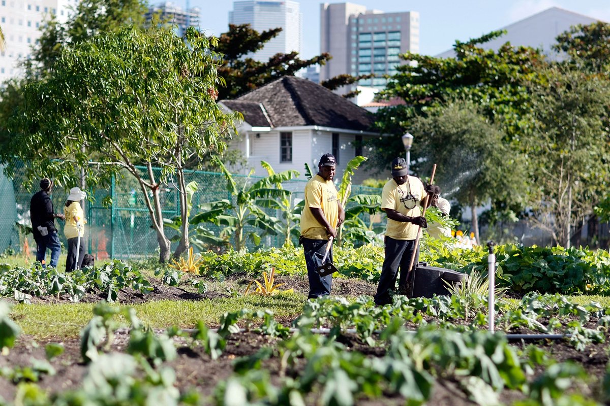 Our #EnvironmentalJustice fellow @NicomeAnthony recently penned an op-ed for @civileats, titled, '4 Solutions to Make Urban Ag Policies More Equitable.' Check it out here: ow.ly/fp3250PPk6u
