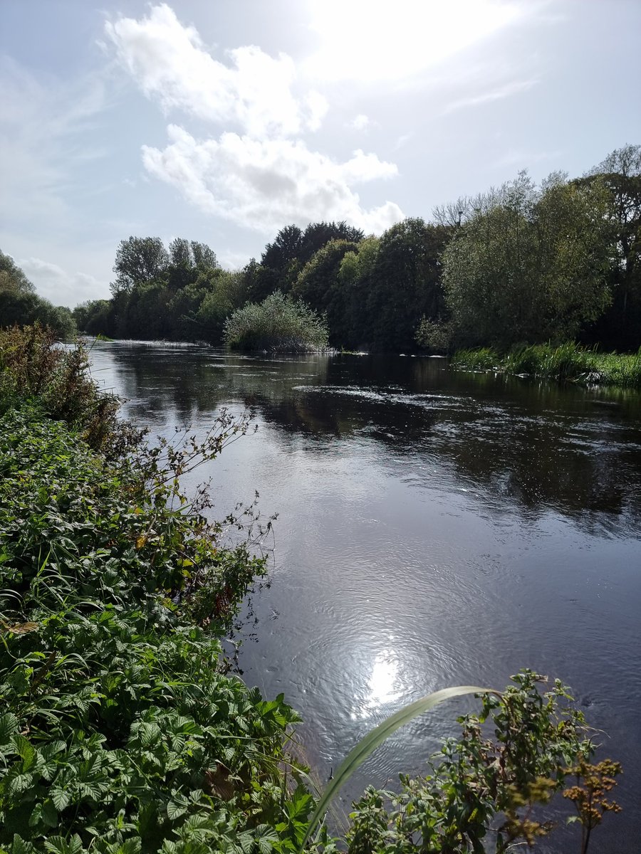 roriain's tweet photo. A great day for a walk and #litterpick on the Barrow after yesterday's washout out. Fenniscourt to Ballyellen upper. #litter #BarrowWay #LeaveNoTrace https://t.co/n0c7jpAWBI