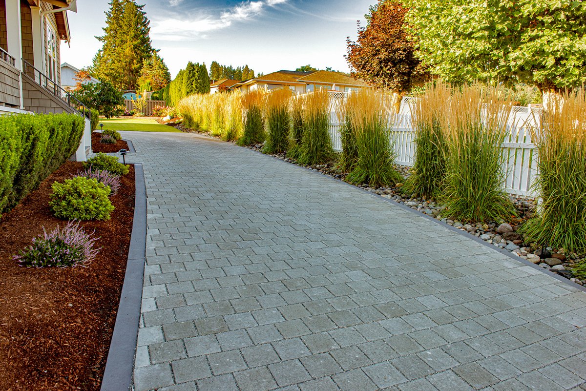 Mutual Materials tweet media