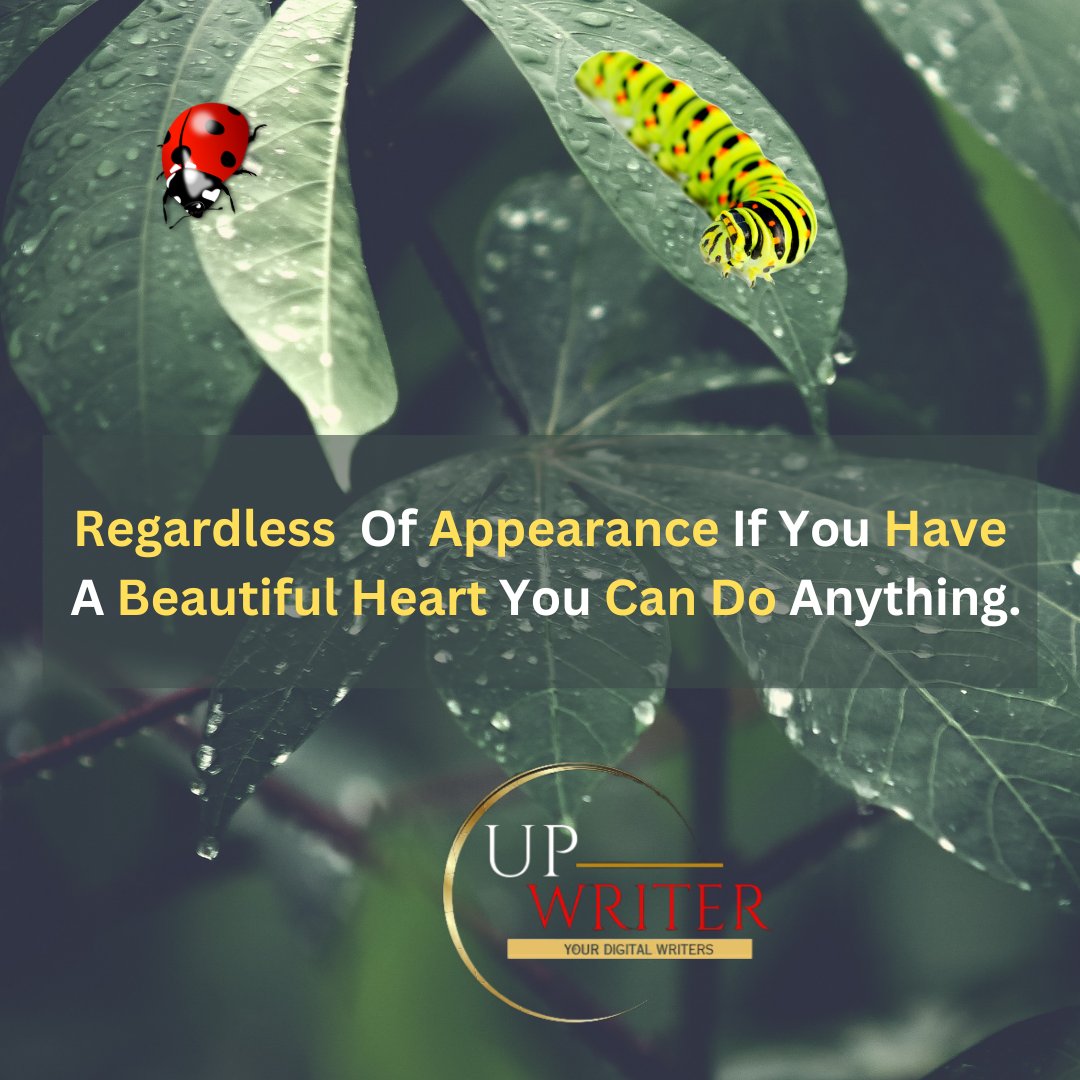 𝗨𝗣𝗪𝗥𝗜𝗧𝗘𝗥 (𝖯𝖵𝖳) 𝖫𝖳𝖣 tweet media