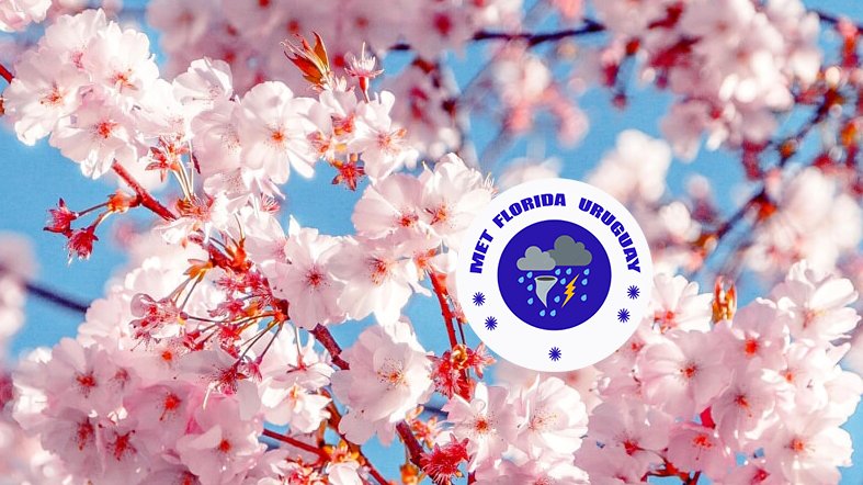 MetFloridaUy's tweet photo. #NuevaFotoDePerfil
#NuevaFotoDePortada
#Primavera2023 https://t.co/XRUuwnSZAn