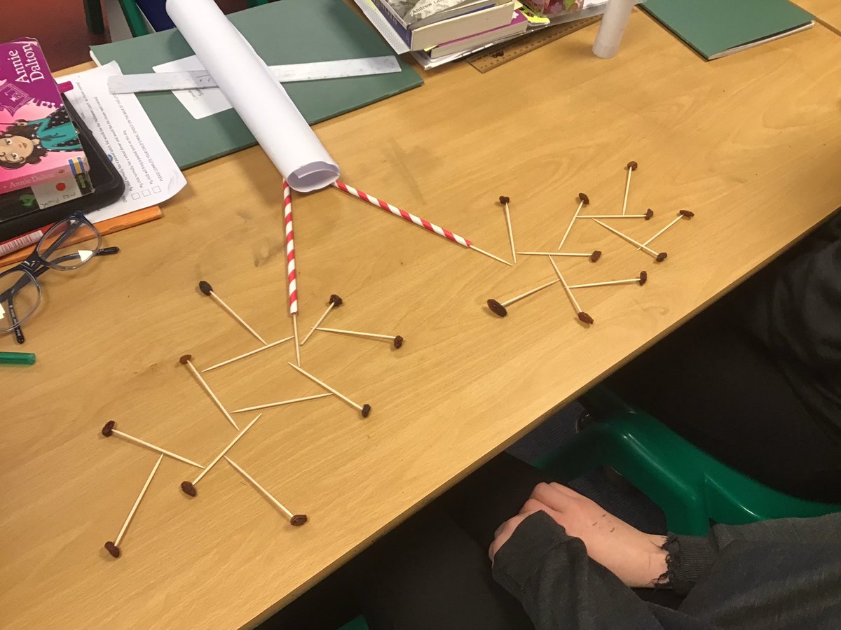 LindenRDRowan's tweet photo. In Science this afternoon we made a model of the lungs before investigating whether age affects our lung capacity. @Linden_Science @LindenRoad https://t.co/uCYRgKkyH5