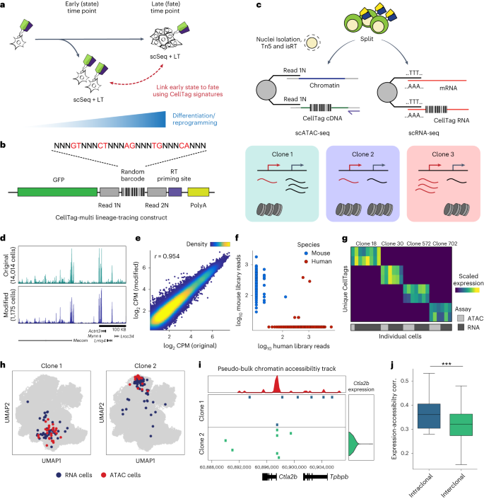 Single-cell lineage capture across genomic modalities with CellTag-multi reveals fate-specific gene regulatory changes go.nature.com/3rkazov