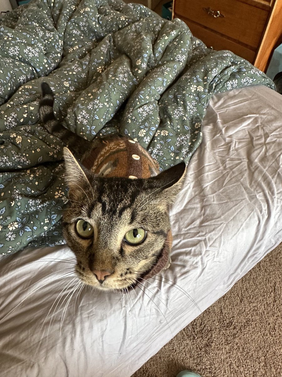 do you like mine sweater