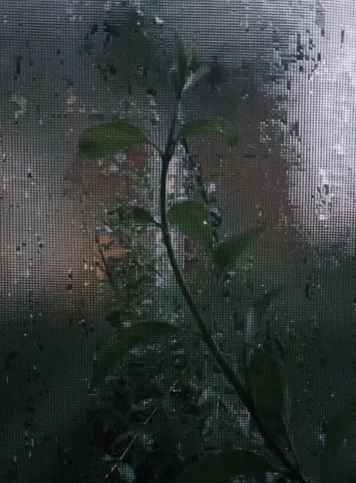 i have grown to love Mondays https://t.co/BHaDsXovAw