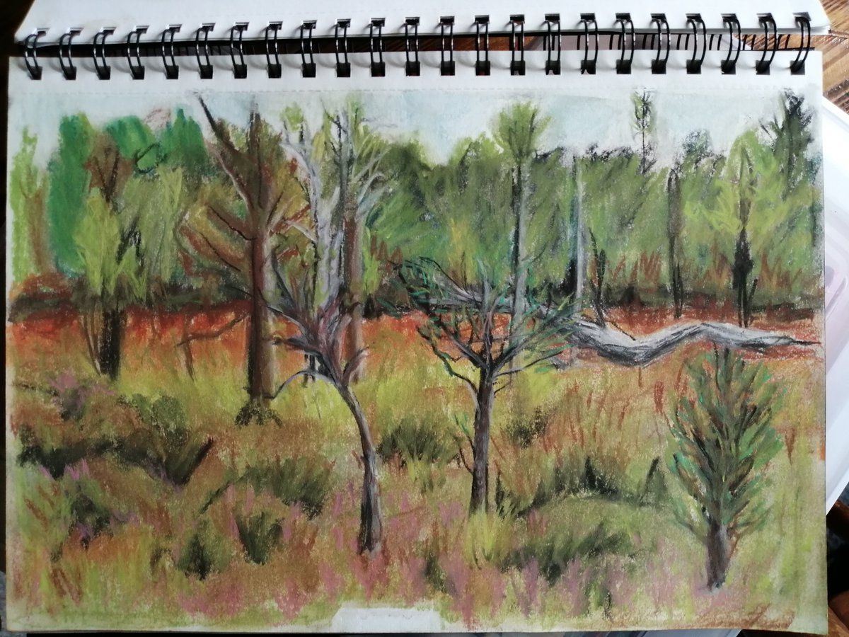 gillianadamsart's tweet photo. One of today's sketches out on the bog land of Abbeyleix Ireland. Beautiful weather, 20 degrees, thoroughly enjoyed it.
New to me as I don't usually sketch, but loved it.
#art #bogland #sketch #contecrayons #boardwalk https://t.co/rhOMkk1q4Y