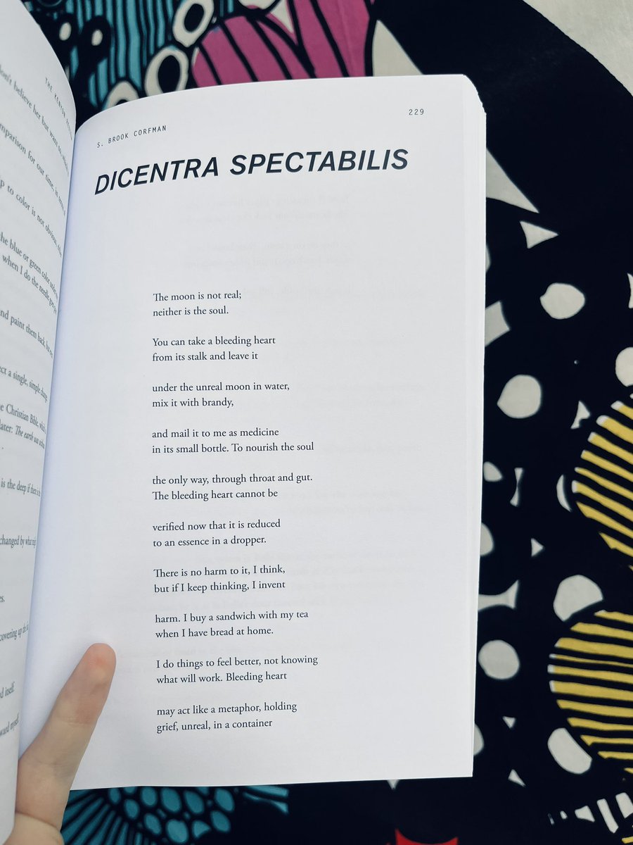 Perpetually Perpetua tweet media