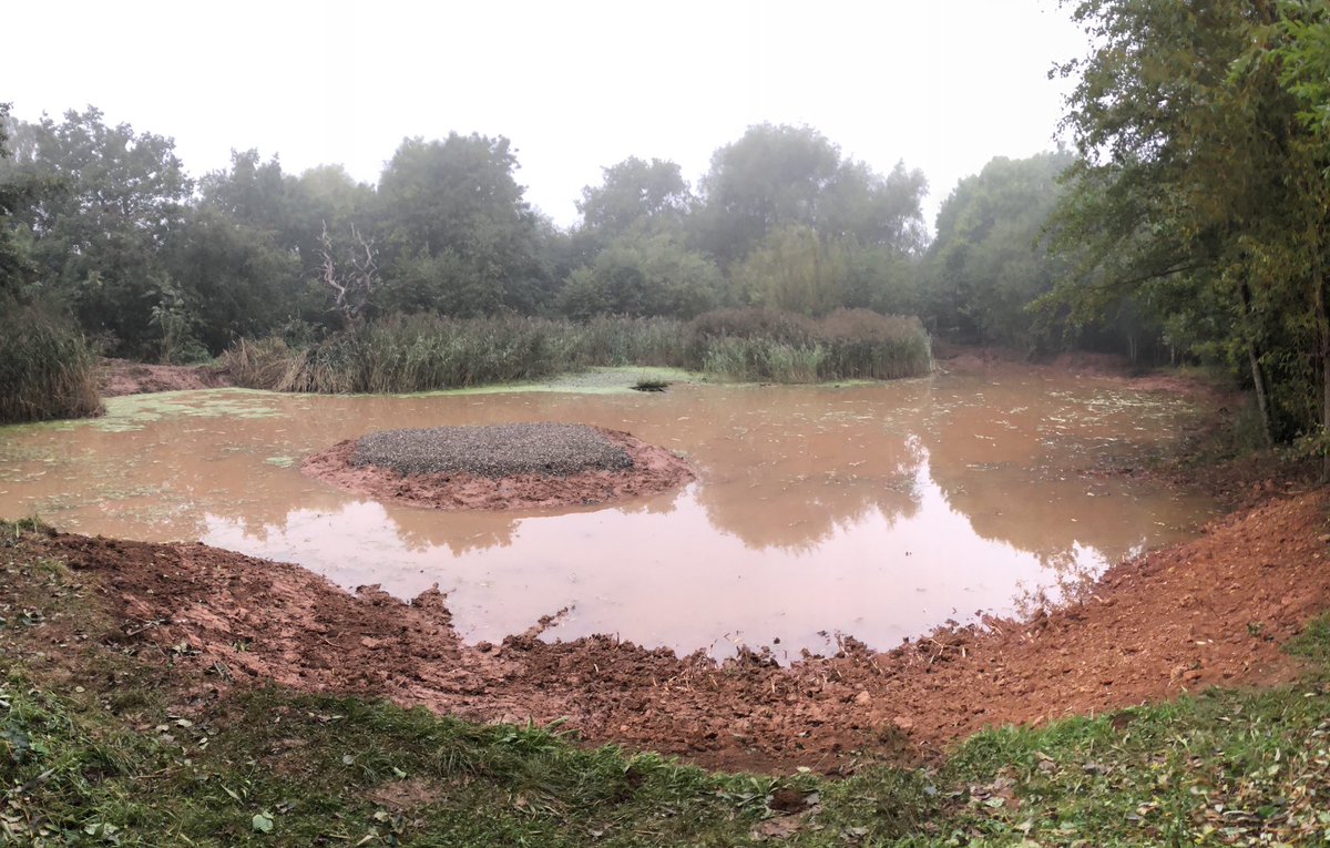 GuyBorder96's tweet photo. Wetland improvements were completed at SVCP last week and today photographers captured the moment that a Green Sandpiper briefly landed on the new island. All work has been generously funded by the SVCP volunteer group. Fingers crossed for more wader action! https://t.co/L2fFag58Dx