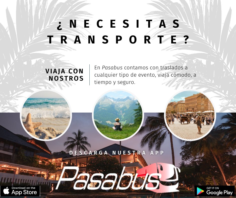 Pasabus tweet media