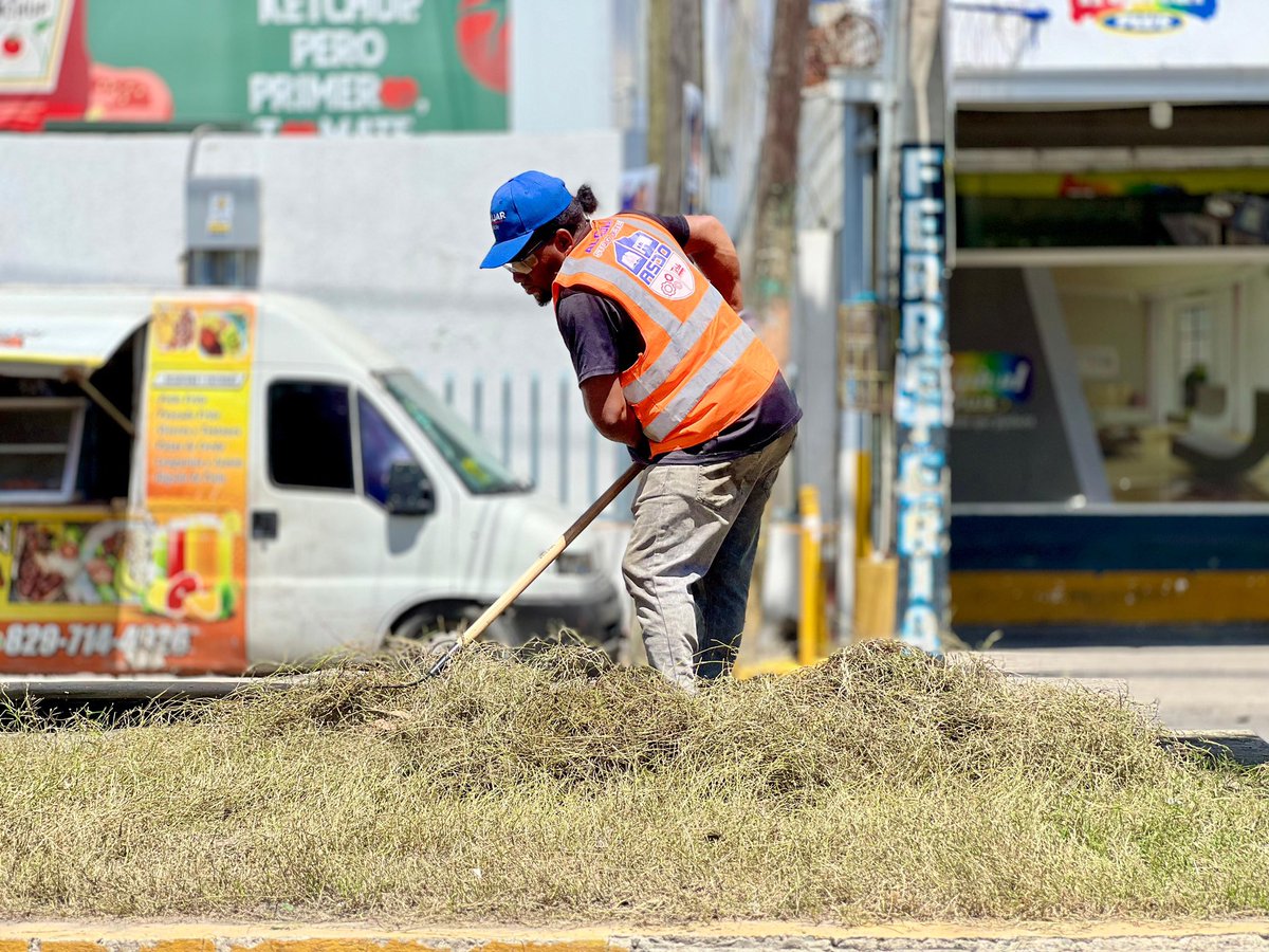 AlcaldiaSDO's tweet photo. A través de nuestra dirección operativa 👷‍♂️💼, continuamos realizando mantenimiento 🛠️, limpieza 🧹 y poda 🌳 de nuestra ciudad 🏙️. En esta ocasión, nos encontramos en la Isleta central KM 12 de la Independencia 🚧🌳.

1/2 https://t.co/oqD36c2vW4