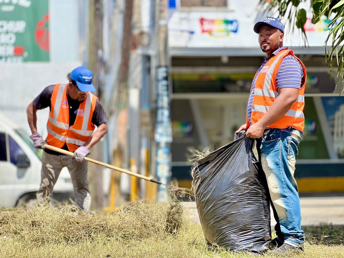 AlcaldiaSDO's tweet photo. A través de nuestra dirección operativa 👷‍♂️💼, continuamos realizando mantenimiento 🛠️, limpieza 🧹 y poda 🌳 de nuestra ciudad 🏙️. En esta ocasión, nos encontramos en la Isleta central KM 12 de la Independencia 🚧🌳.

1/2 https://t.co/oqD36c2vW4