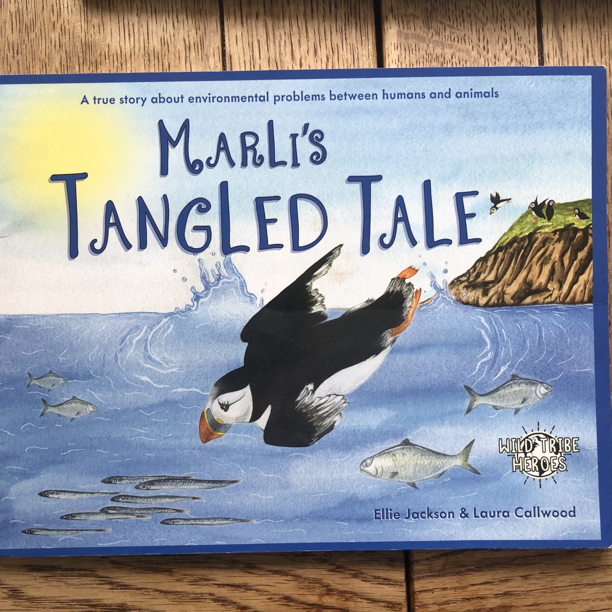 plasticfreemkh's tweet image. Balloon releases create litter that can be fatal to animals. The can easily block the airways of wildlife, pets or farm animals. This is a great book that talks about the issue to children. #notosingleuse #noballoonreleases @wildtribeheroes