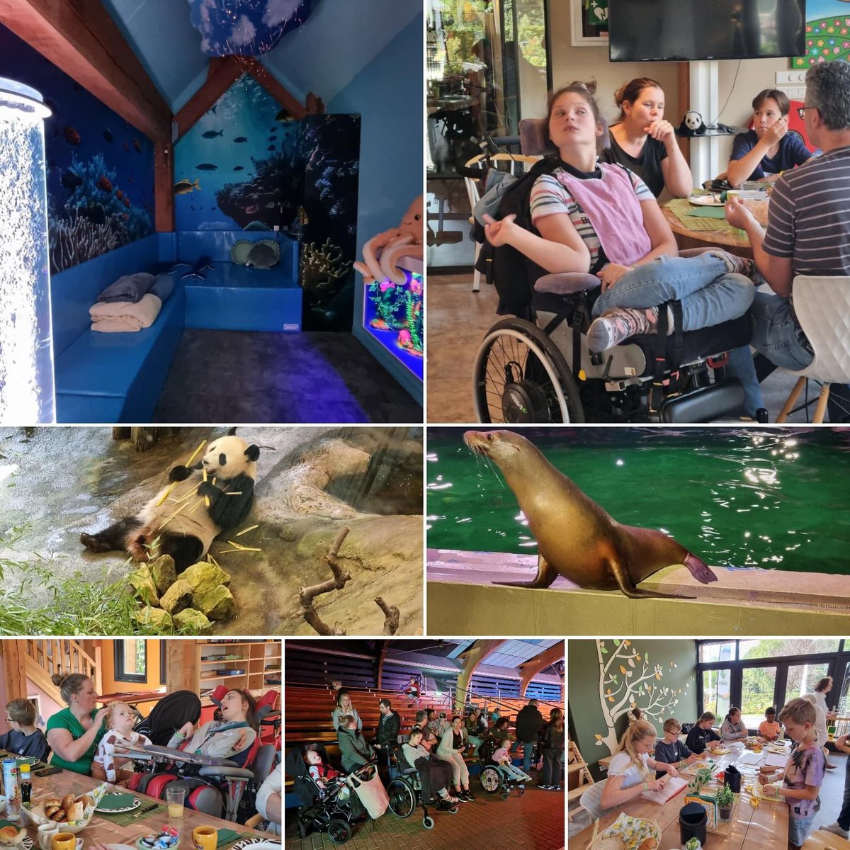 Gisteren organiseerde 2CU de eerste van drie Fonkeldagen. Een heerlijk verzorgde dag in het Fonkelhuis bij  Ouwehands Dierenpark Rhenen

ZEVMB gezinnen samenbrengen, mooie gesprekken, steun vinden bij elkaar en als compleet gezin een onbezorgd dagje uit.
2cu.nu/nieuws/fonkeld…