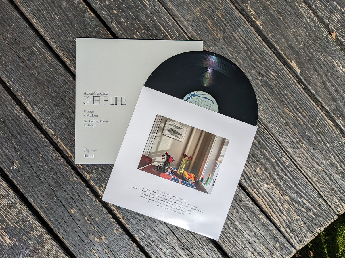 As your attorney I advise you preorder Shelf Life by Animal Hospital via <a href="/Bandcamp/">bandcamp</a>, out Nov 03 via Sipsman ffm.to/AH-ShelfLife