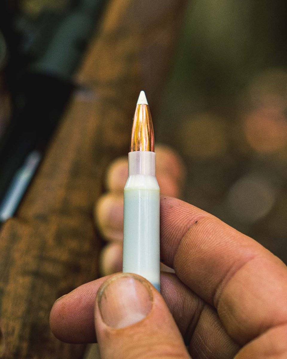truevelocityinc's tweet image. When seconds matter, your ammunition choice can make all the difference. Shop our line of .308 Winchester if you want to experience a hunt that is smooth, calculated, and successful.

tvammo.com/x

#truevelocity #huntingseason #openseason