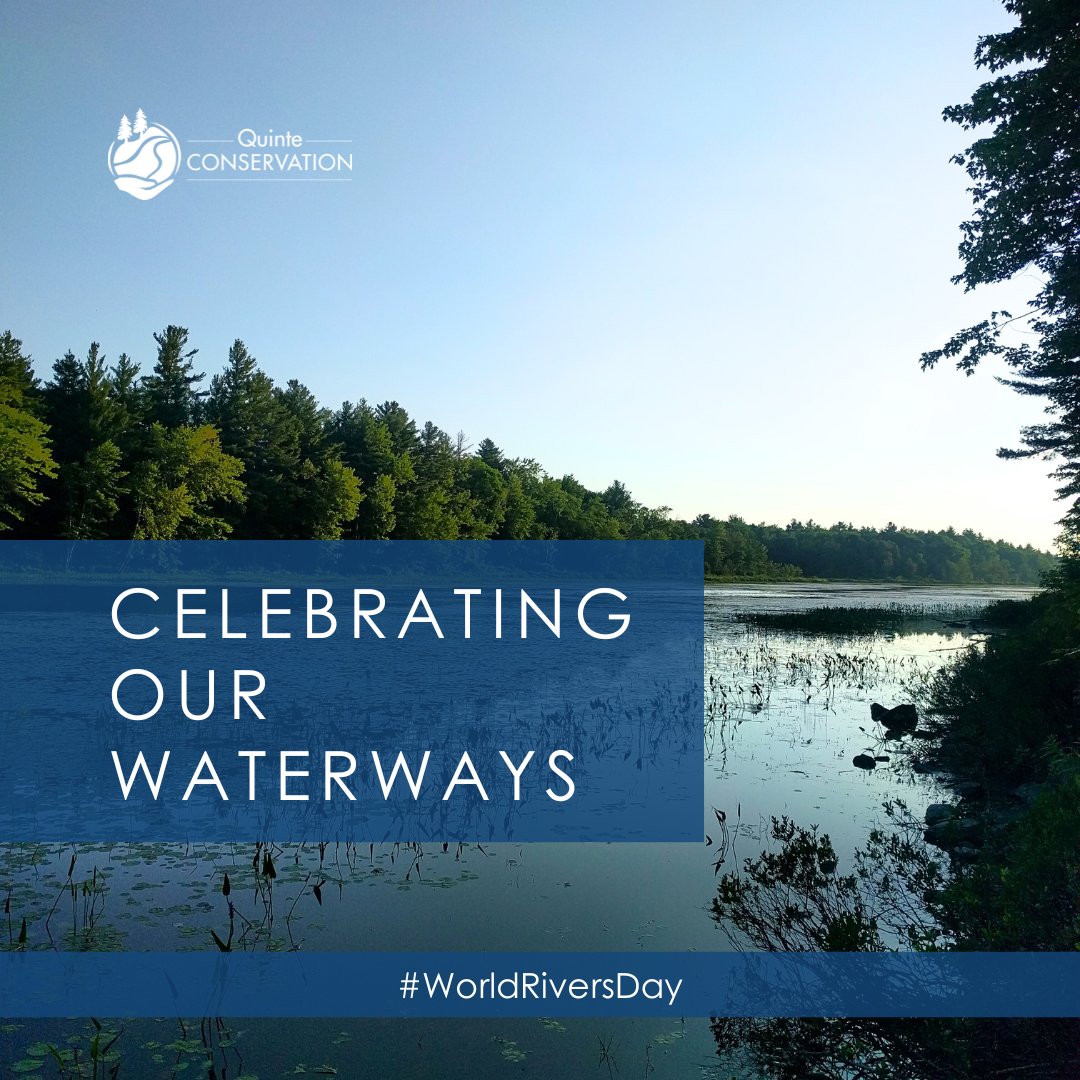 quinteca's tweet photo. Happy World Rivers Day! Under our Watershed Management pillar, we provide programs and services to gain an understanding of and protect our natural environment. Learn more at https://t.co/FT3Ik8RGt3
#QuinteConservation #WorldRiversDay https://t.co/jzPadmgrrO
