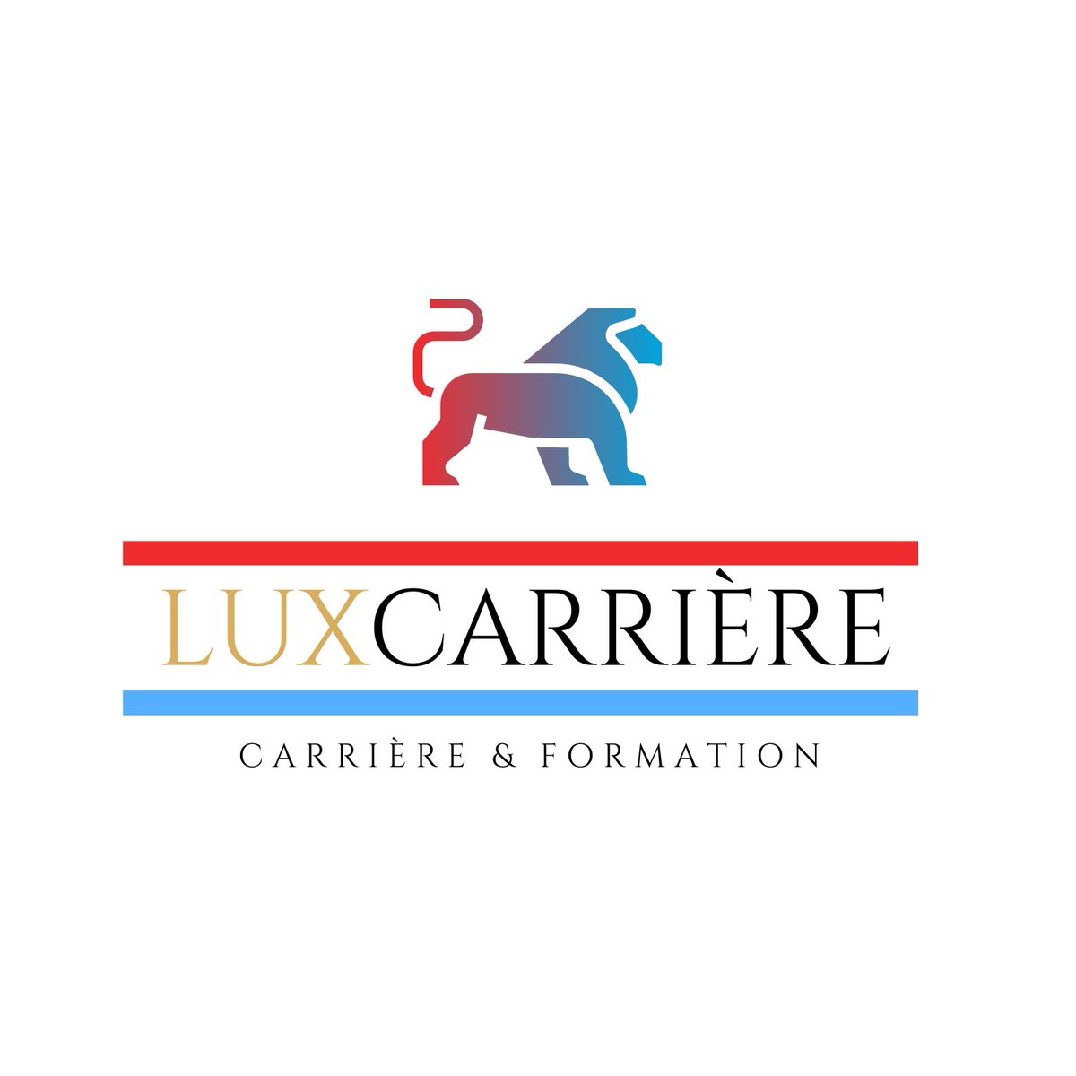 Il est plus important d'augmenter vos revenus que de réduire vos dépenses. C'est plus important de cultiver son esprit que de couper ses rêves".

Pour lutter contre l'inflation et surtout vous assurer un confort de vie grâce à votre travail, le 🇱🇺 est LA solution ! 💶