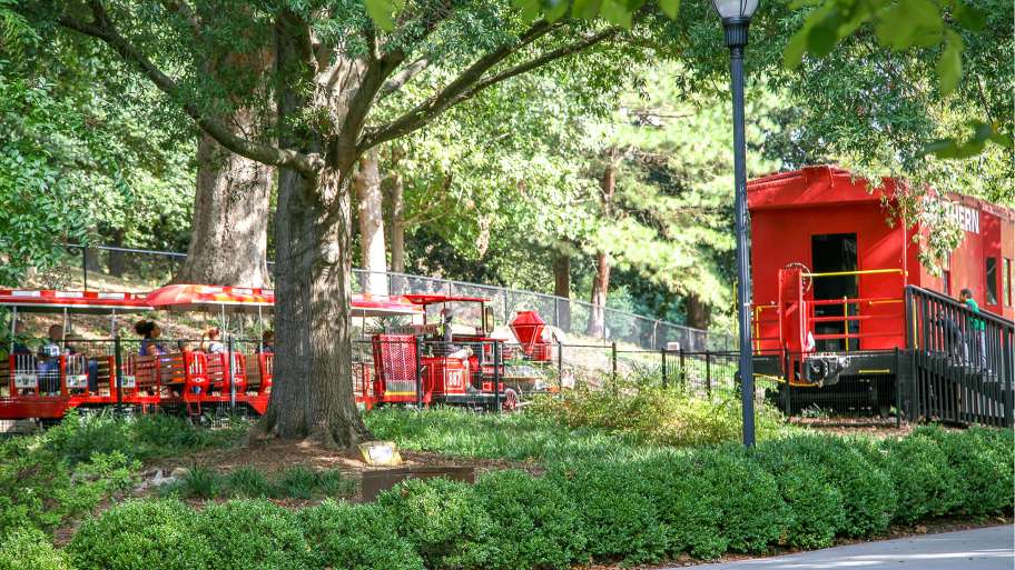 raleighparks's tweet photo. Pullen Park is looking for operators for our miniature train, historical carousel, and help kids sail on our kiddie boat ride. Pullen Park Amusements is looking for energetic and engaging adults to join our team! https://t.co/gfYTxmm7k3 #PullenPark https://t.co/JQJ2HInYzW