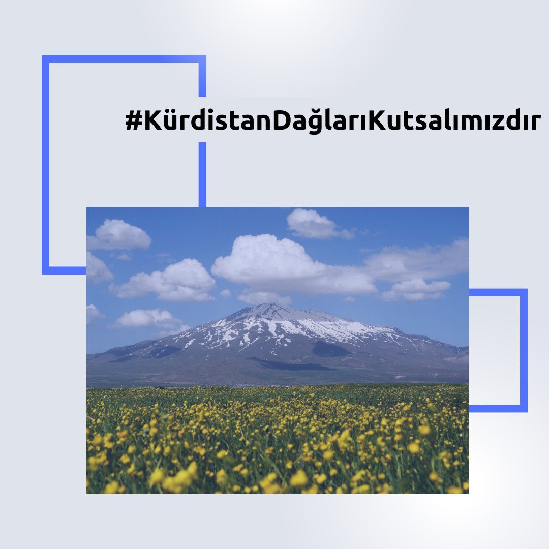 Daristan û çiyayên Kurdistanê tên şewitandin, xwezaya Kurdistanê tê talankirin.  Desthilatdariya faşîst dijminatiya xwe ya li dijî gelê Kurd bi her awayî nîşan dide.  Ev metîngerî ye, li dijî metîngeriyê em ê xweza û stargehên welatê xwe biparêzin.
#KürdistanDağlarıKutsalımızdır