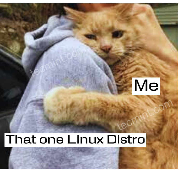 What's your favorite Linux Distro? 🐧❤

Follow <a href="/tecmint/">Linux Inside: The Ideal Blog for Sysadmins & Geeks</a> for daily #Linux cheatsheets, memes, tips, and more!!