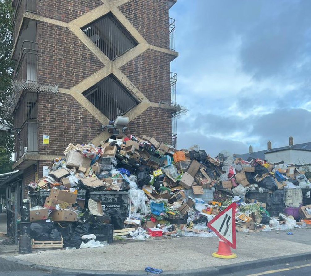 Chris Rose tweet media